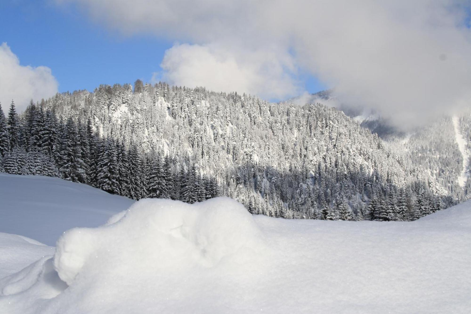 Alpengasthof Oberweissbach ヴァイトリンク エクステリア 写真